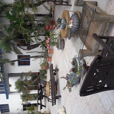 Palmita Hotel Hostel オラニエスタッド エクステリア 写真
