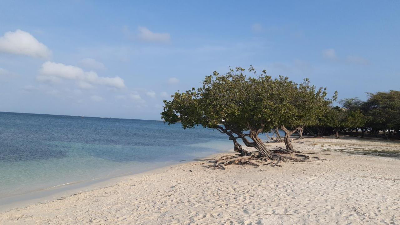 Palmita Hotel Hostel オラニエスタッド エクステリア 写真