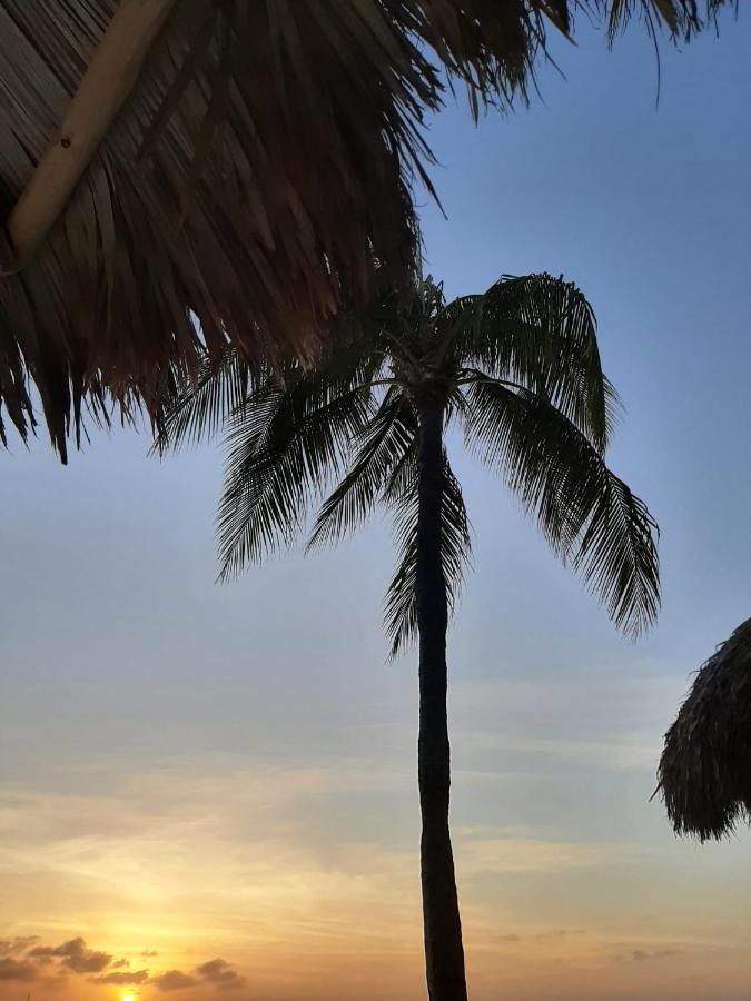 Palmita Hotel Hostel オラニエスタッド エクステリア 写真