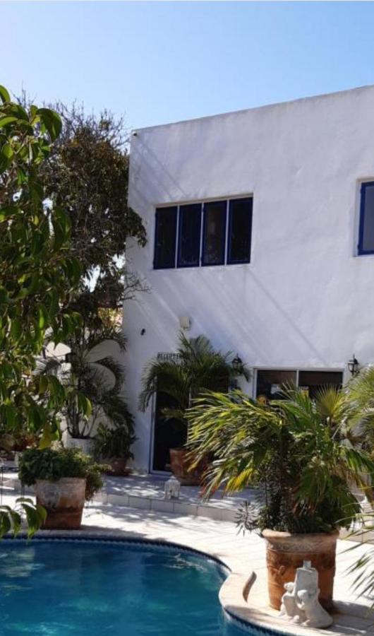 Palmita Hotel Hostel オラニエスタッド エクステリア 写真