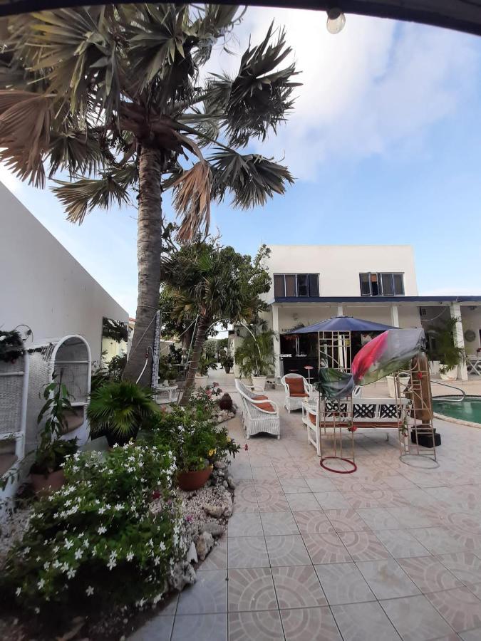 Palmita Hotel Hostel オラニエスタッド エクステリア 写真