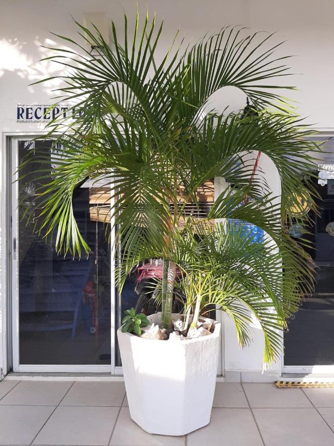 Palmita Hotel Hostel オラニエスタッド エクステリア 写真