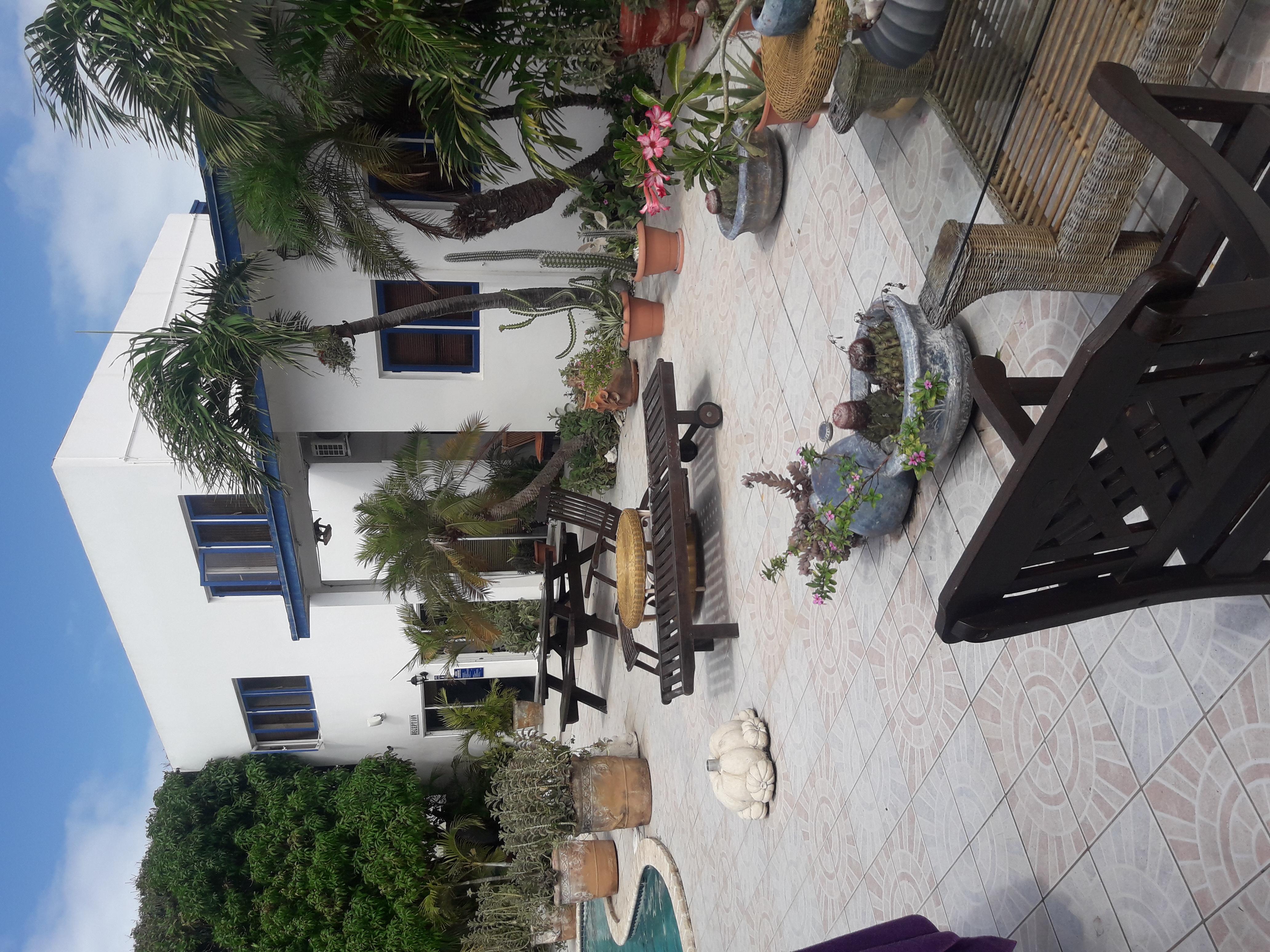 Palmita Hotel Hostel オラニエスタッド エクステリア 写真