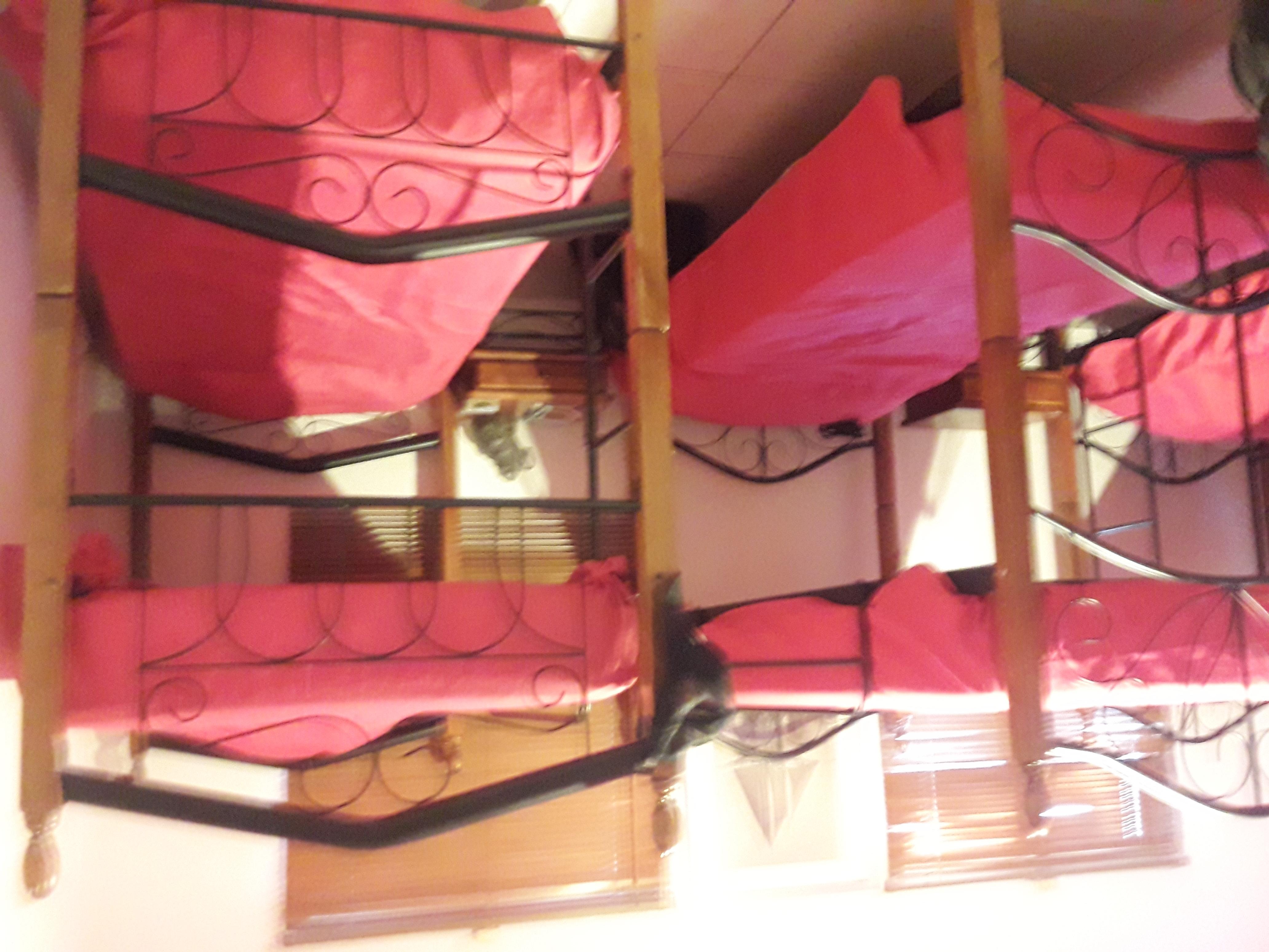 Palmita Hotel Hostel オラニエスタッド エクステリア 写真