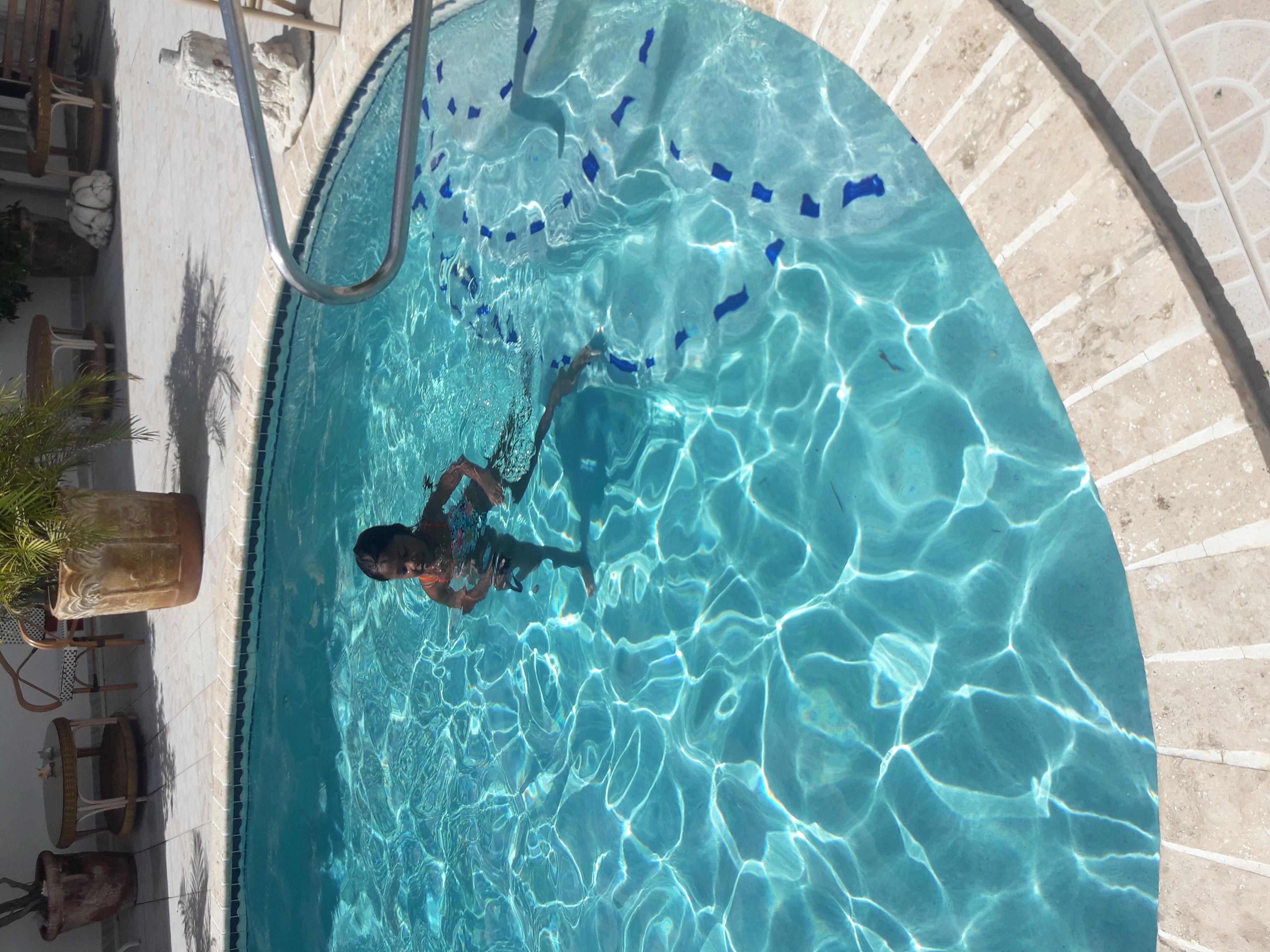 Palmita Hotel Hostel オラニエスタッド エクステリア 写真
