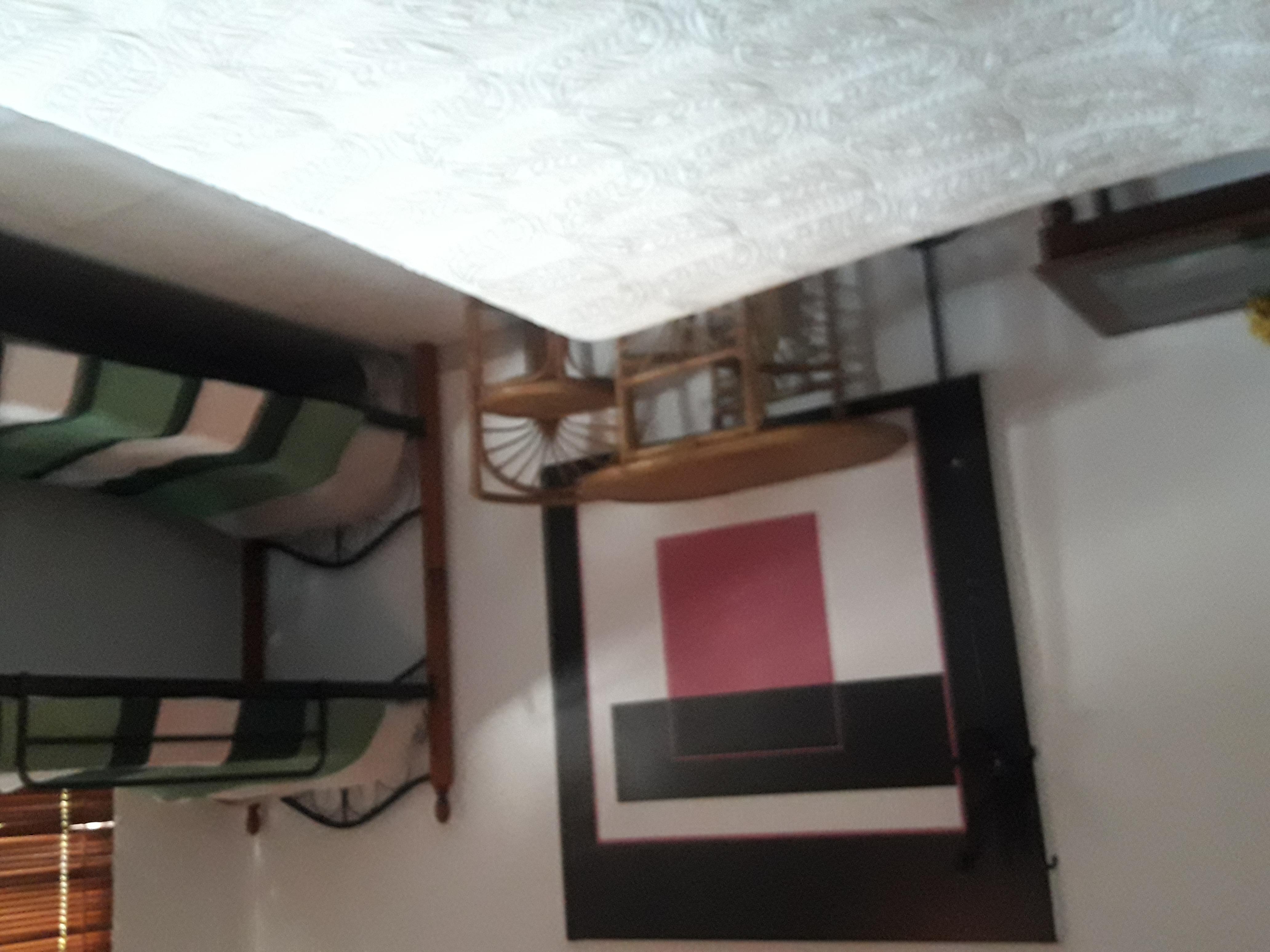 Palmita Hotel Hostel オラニエスタッド エクステリア 写真