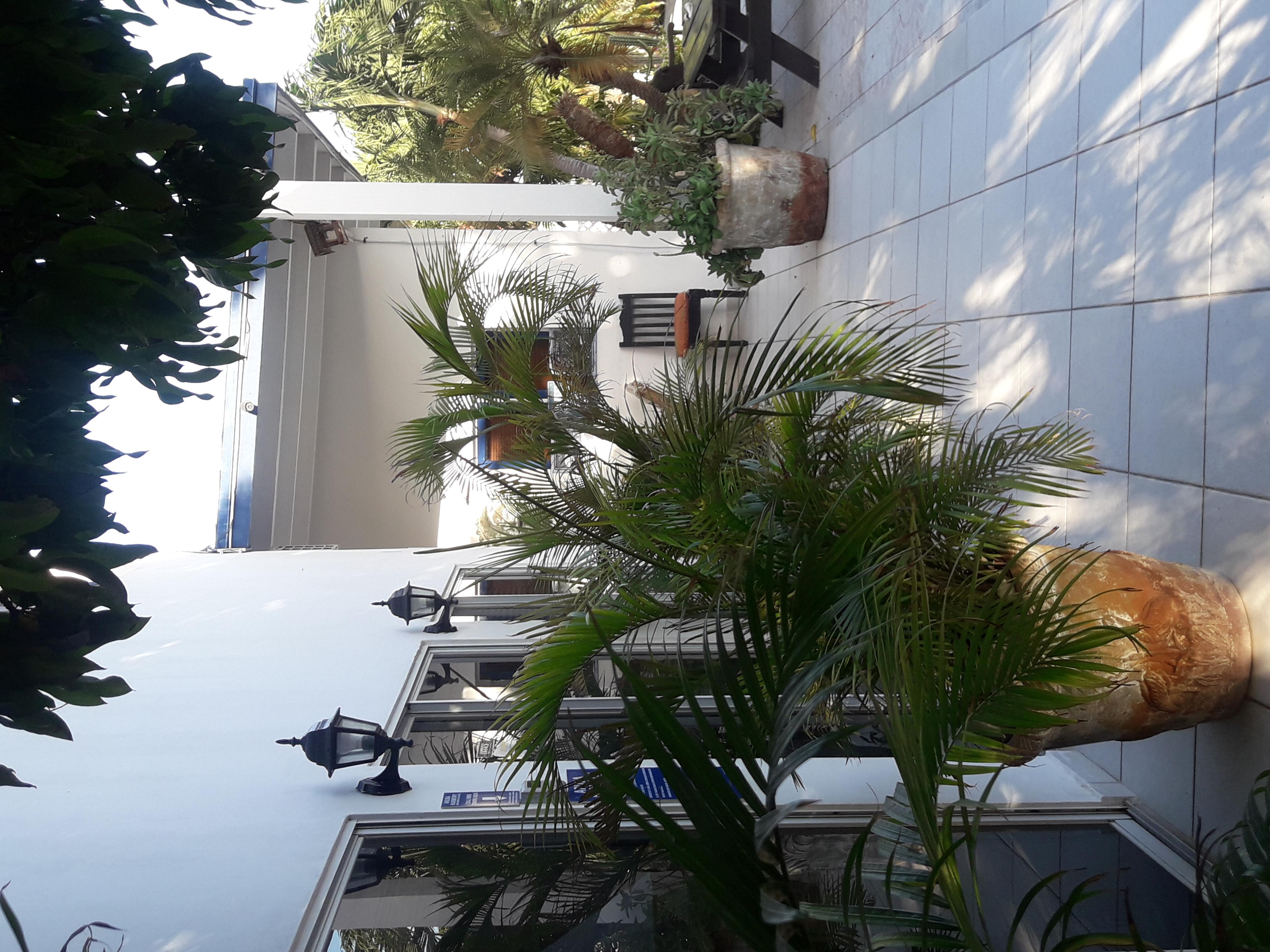 Palmita Hotel Hostel オラニエスタッド エクステリア 写真
