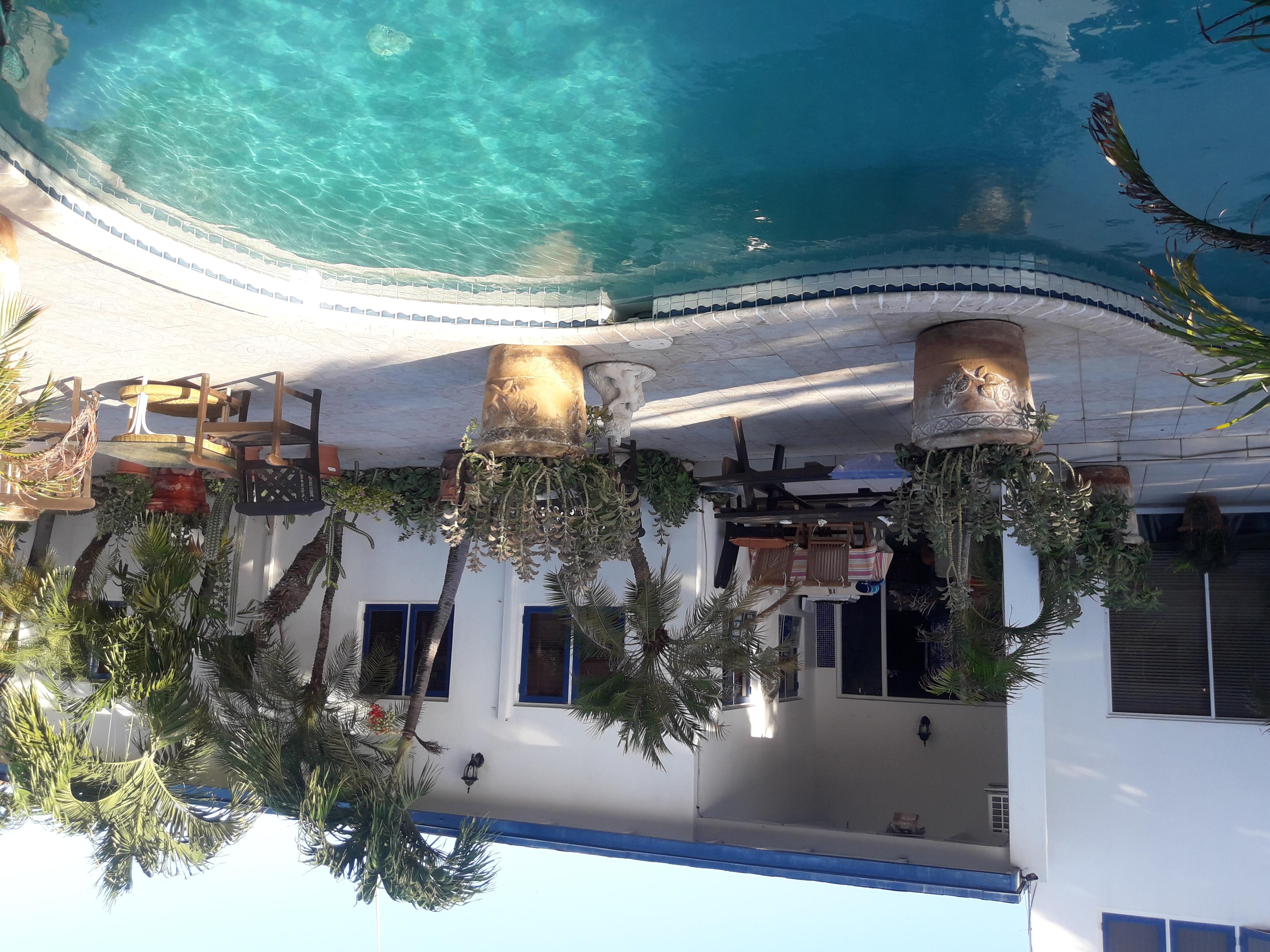 Palmita Hotel Hostel オラニエスタッド エクステリア 写真