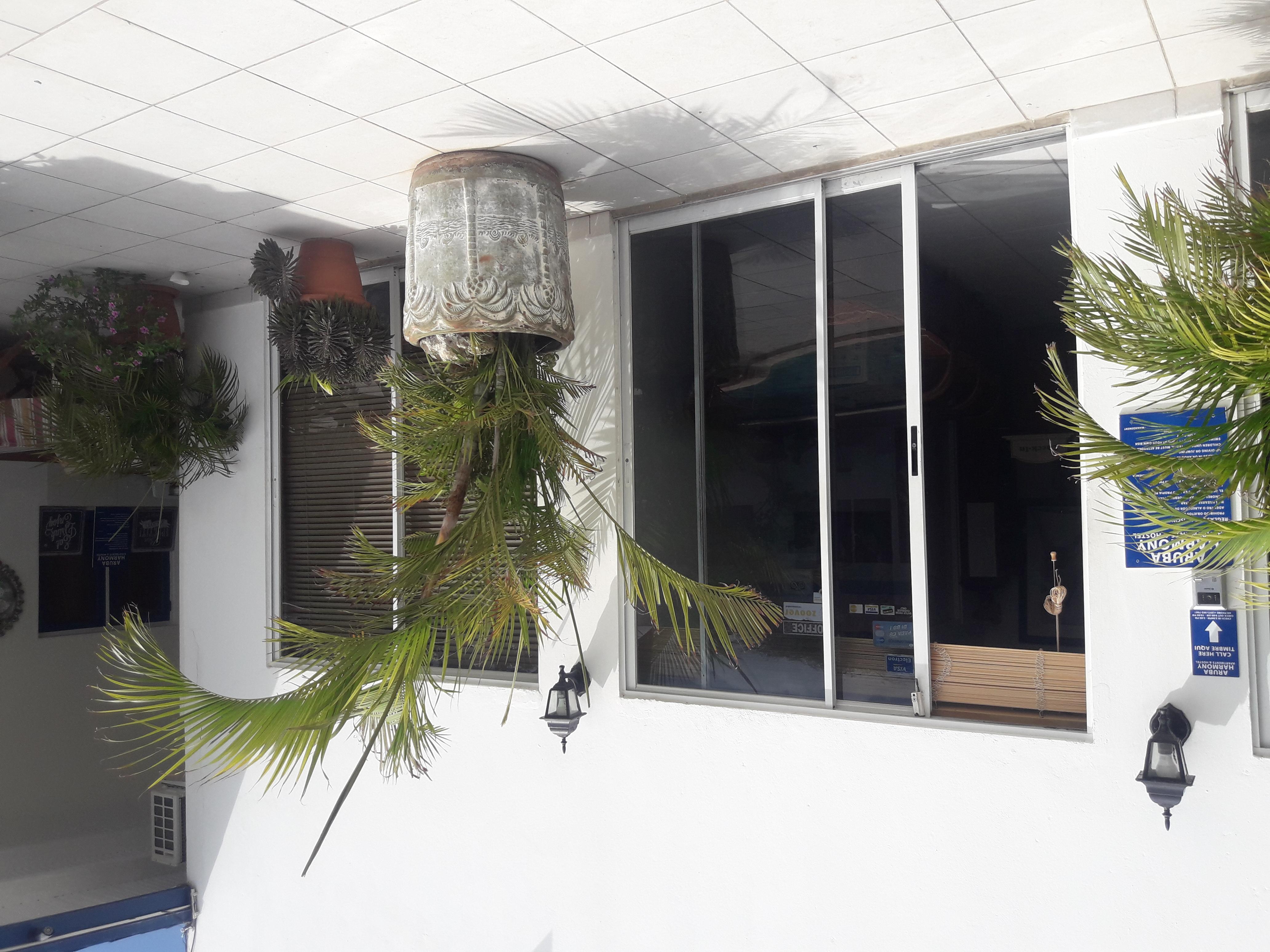 Palmita Hotel Hostel オラニエスタッド エクステリア 写真