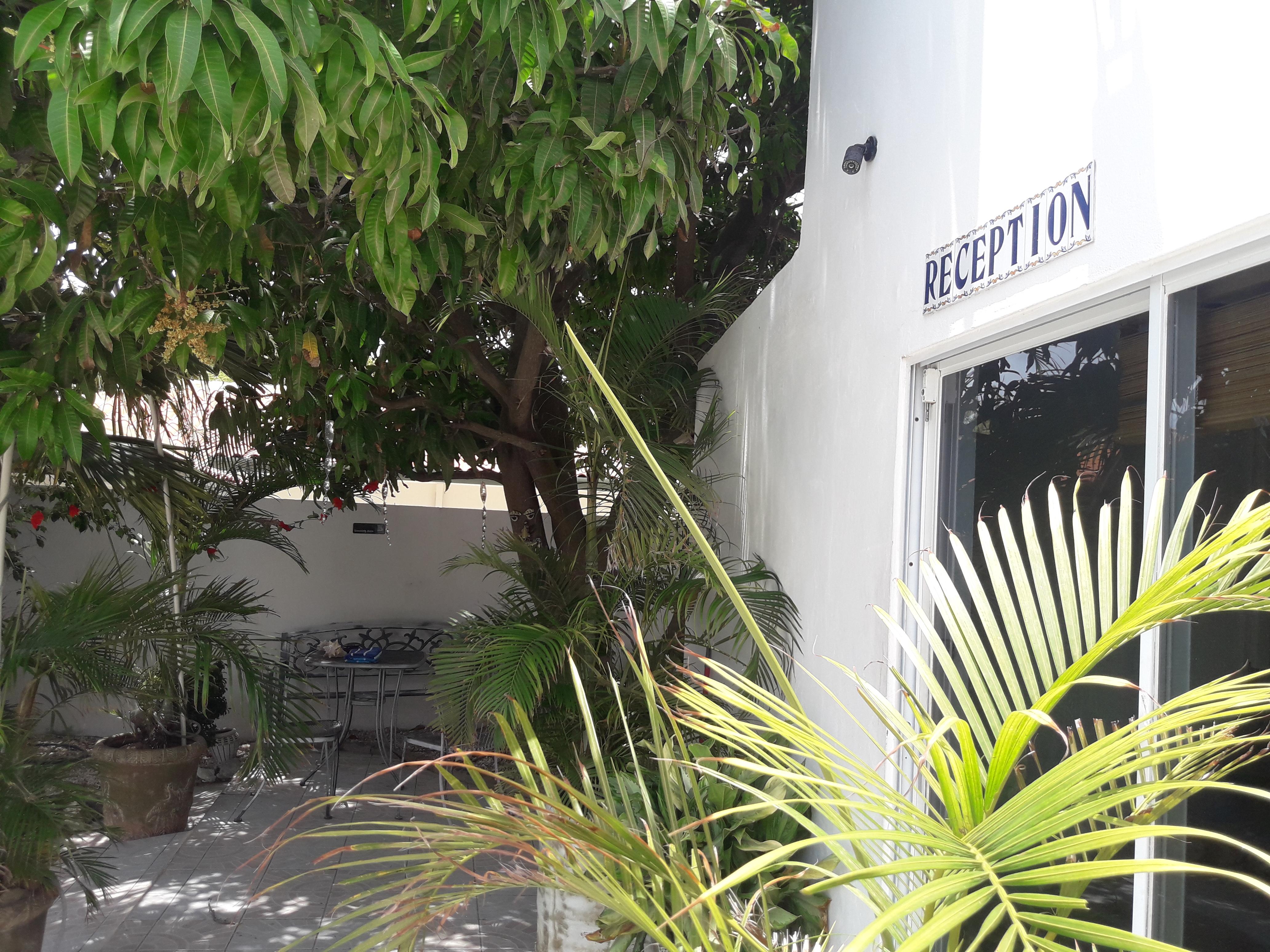 Palmita Hotel Hostel オラニエスタッド エクステリア 写真