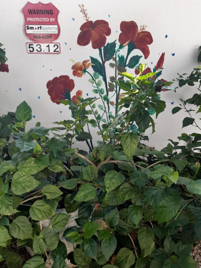 Palmita Hotel Hostel オラニエスタッド エクステリア 写真