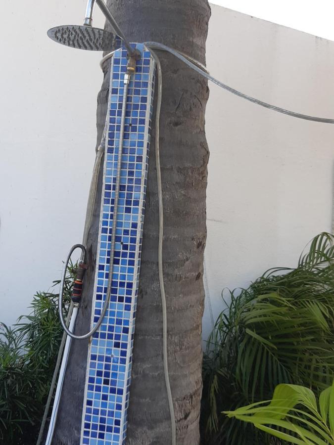 Palmita Hotel Hostel オラニエスタッド エクステリア 写真