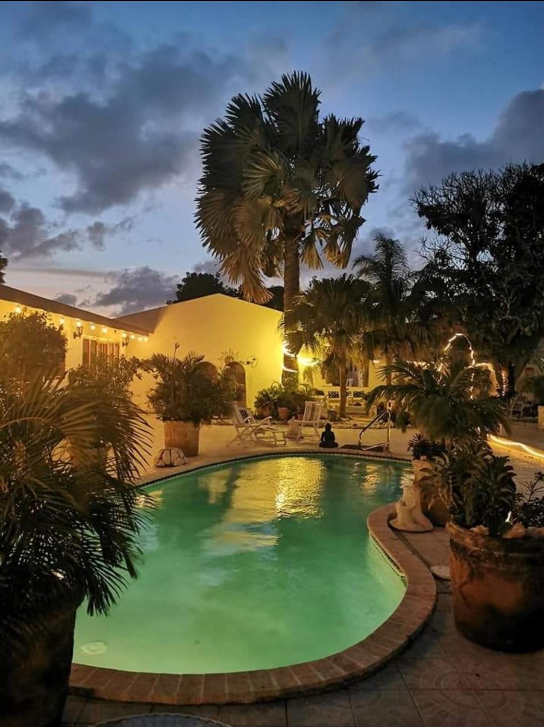 Palmita Hotel Hostel オラニエスタッド エクステリア 写真