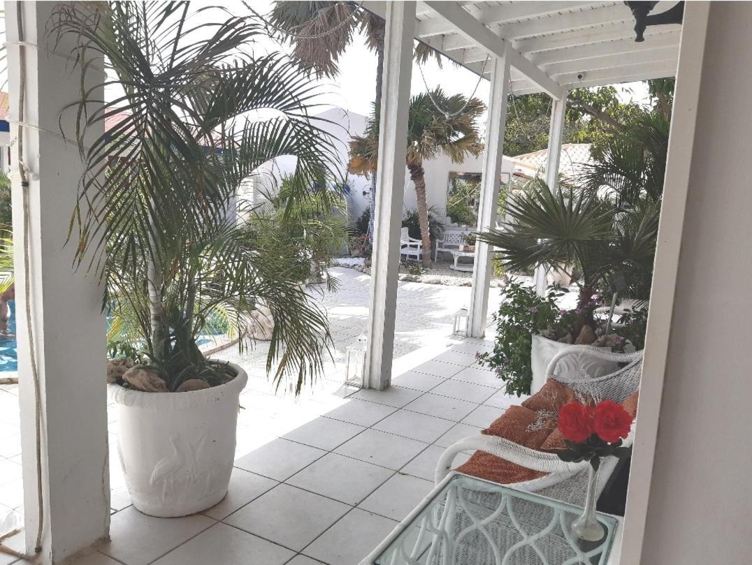 Palmita Hotel Hostel オラニエスタッド エクステリア 写真