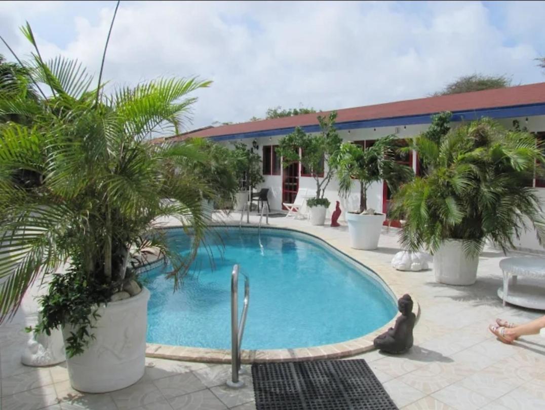 Palmita Hotel Hostel オラニエスタッド エクステリア 写真