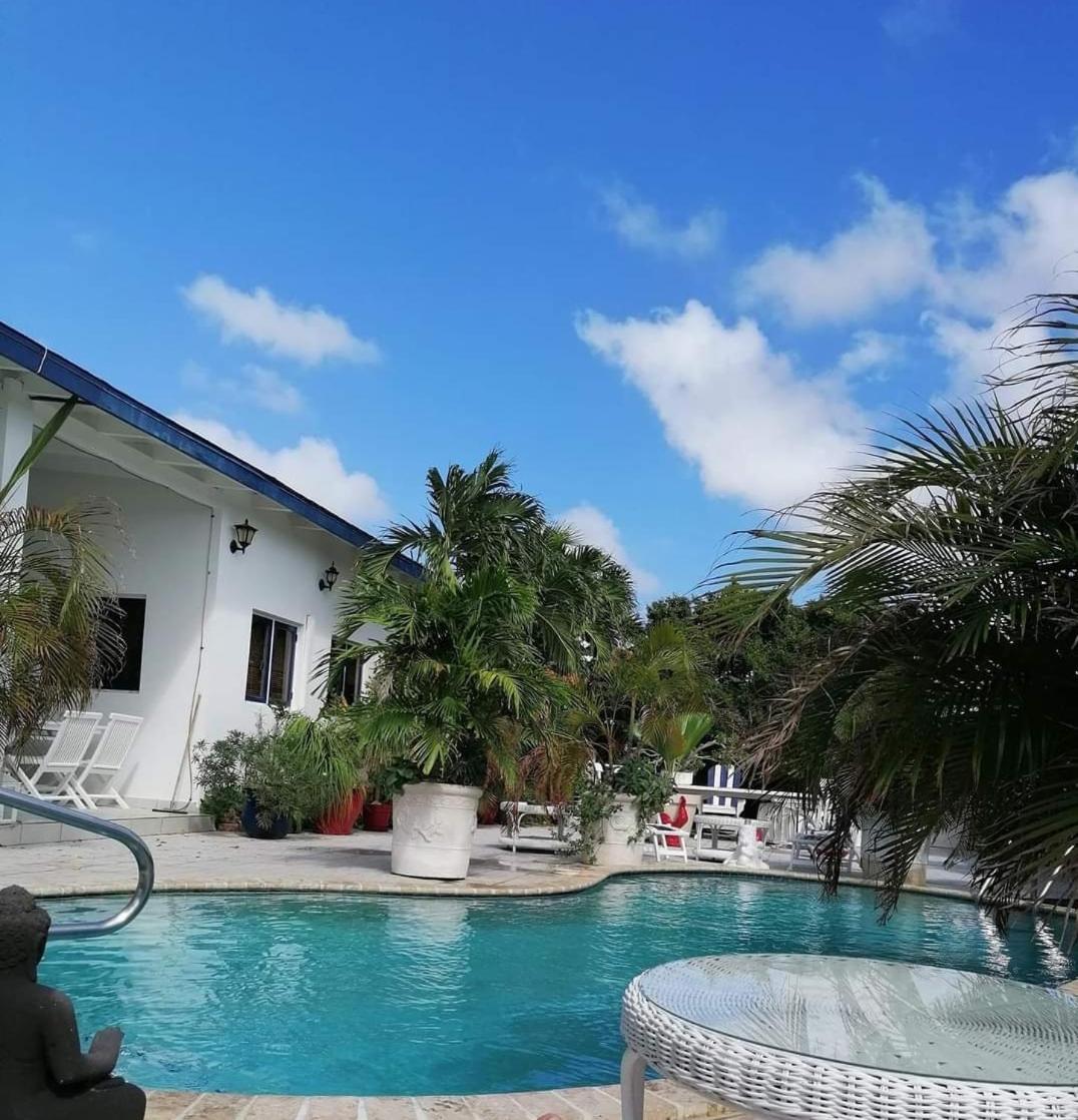 Palmita Hotel Hostel オラニエスタッド エクステリア 写真
